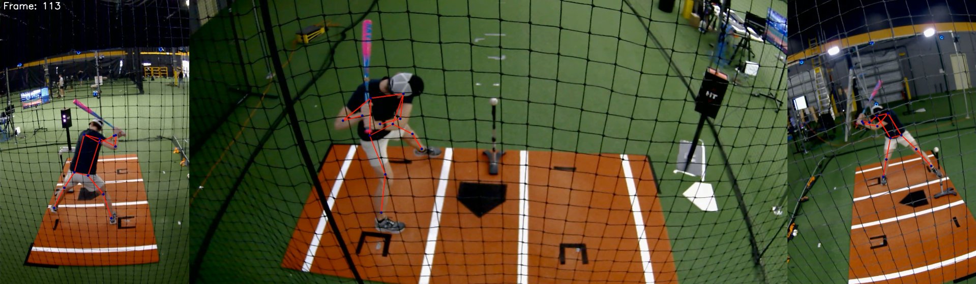 Multi-Camera 3D Pose